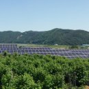 5월 태양광 발전량 - 모듈 효율감소와 인버터 사양 그리고 주변환경과 지역별 비교 이미지