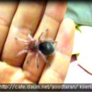 헤어로즈 이미지