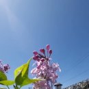 뜨락 - 통영시 산양중앙로 277 | 뜨락