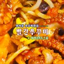 볼빨간쭈꾸미
