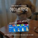 홈타운동물약국 이미지