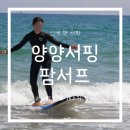 양양팜서프 | 설약해변 양양서핑 팜서프 서핑 강습 가격 후기