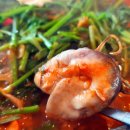 서민메기매운탕 이미지