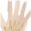 엄지의원 이미지