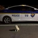 옥구지구대 이미지