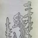 펜드로잉 이미지