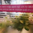 감각앤태후사랑 네이버블로그