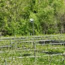 대기농장 이미지