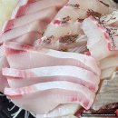 광명상회 | [전라상회] 노량진 수산시장 횟집 추천 30번 넘게...따라 간 내돈내산 솔직후기 예약 방법 메뉴 및 가격...