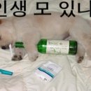 해피 - 수원시 권선구 경수대로309번길 20 | 해피