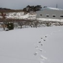 (주)더킴스팜 이미지