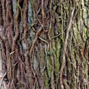 송담2로 이미지