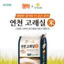 고래실 | 🌾탱탱한 찰기와 더 깊은 풍미의 연천 고래실 쌀🌾