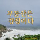 최강부동산공인중개사사무소 이미지