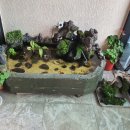 제주고메밀면 이미지