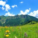 초록바람 | 🌸초록 능선과 시원한 바람, 여름 소백산 산행 후기