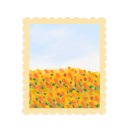 하양미용학원 이미지