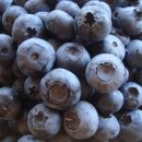 율곡농장 이미지