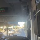 나도 뽑기왕 목원대점 | 뽑기에 미쳤던 서울행 feat.설기🐶