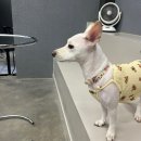 인생개획 이미지