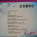 미꾸지 펜션 Daum카페
