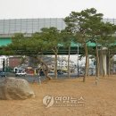 반야월삼거리 이미지