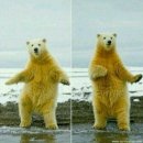 상비매봉길 이미지