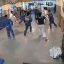 마포유도체육관 이미지