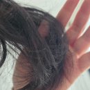 헤어터치 | 피노 프리미엄 터치 헤어팩 사용 후기 손상모 머릿결 변화 솔직 리뷰
