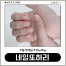 네일또하리 네이버블로그