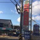 사파동220 이미지