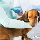 서울종합동물병원 이미지