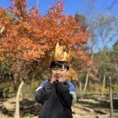 금오산 유아숲체험원 이미지