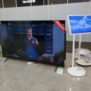 둔산 하이마트 이미지