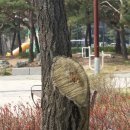 구지공원 이미지