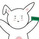 홍대개미서울