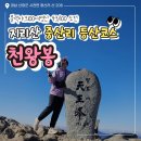 남해-292 | 블랙야크100대명산(43/100) : 생일기념 지리산 천왕봉 등산코스