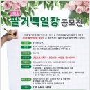 일장 Daum카페