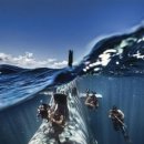 삼손스포츠수기명가 이미지