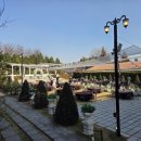 퍼스트가든(시선) | 경기 파주야외웨딩 퍼스트가든웨딩 후기