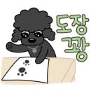 모모애견풀빌라 이미지