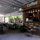 신털뫼1 이미지