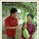 숲마을농원 이미지