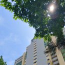 새하양세탁소 이미지