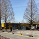 UR(아산시)-[현대로]-하-15 | 아산 파라다이스 스파 도고 할인꿀팁,실내야외풀시설 총정리(2026최신)