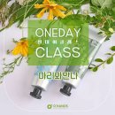 안나미용재료