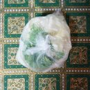 쭈꾸미신화송천점 이미지