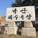 꿀꿀이네 이미지