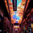 대전 스카이로드 이미지