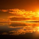 농소1동 행정복지센터 이미지